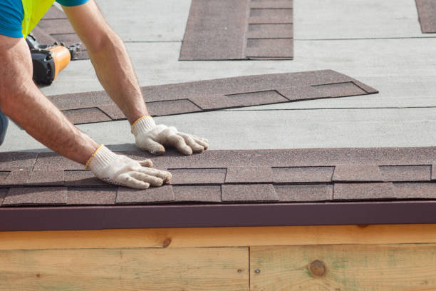 Best Storm Damage Roof Repair  in Tazewell, TN